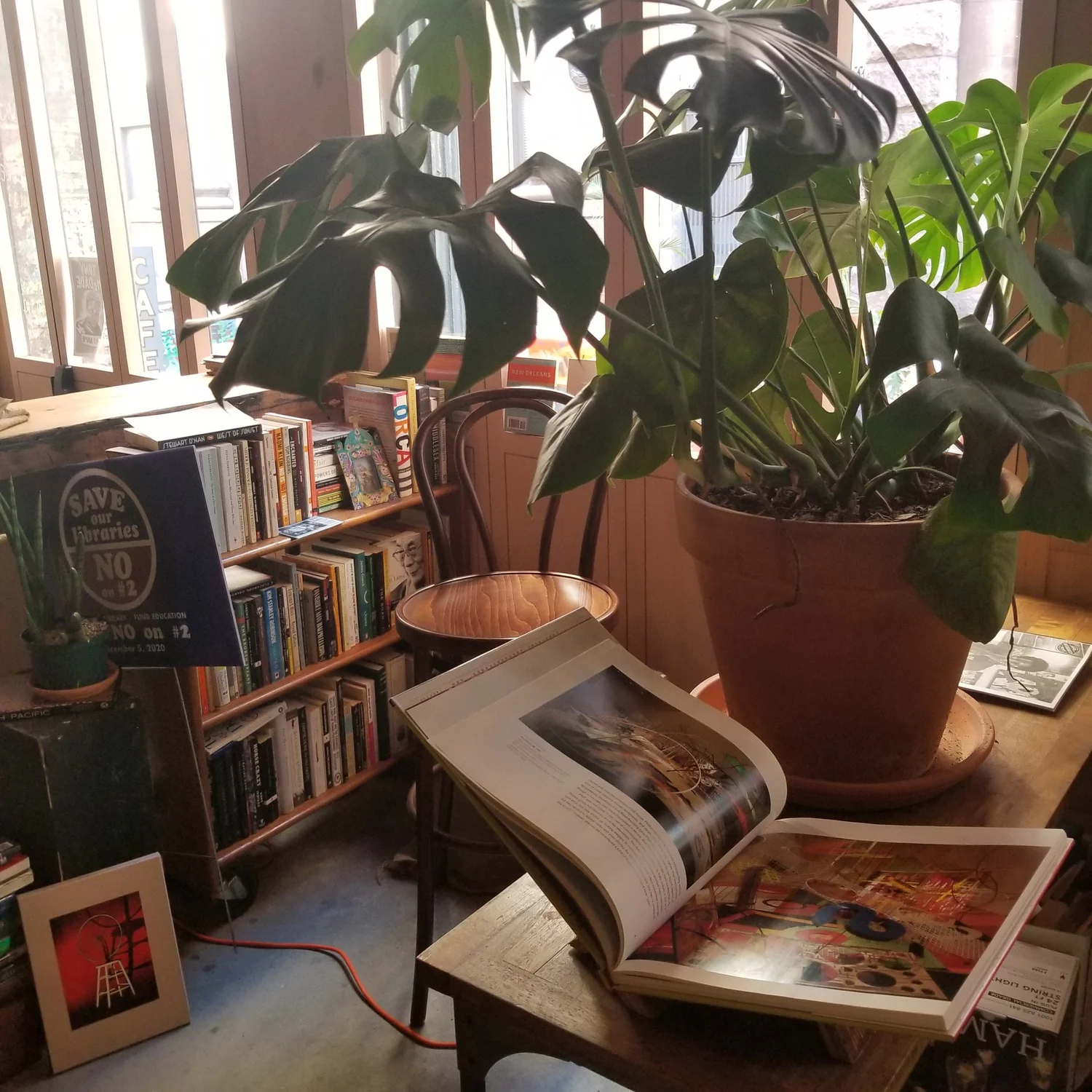 Cricket Books and the Reading Room, photograph 18