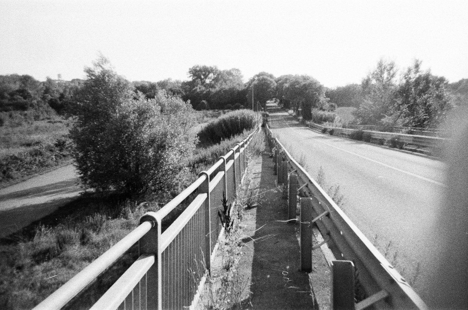 Selected Photos, photograph 3