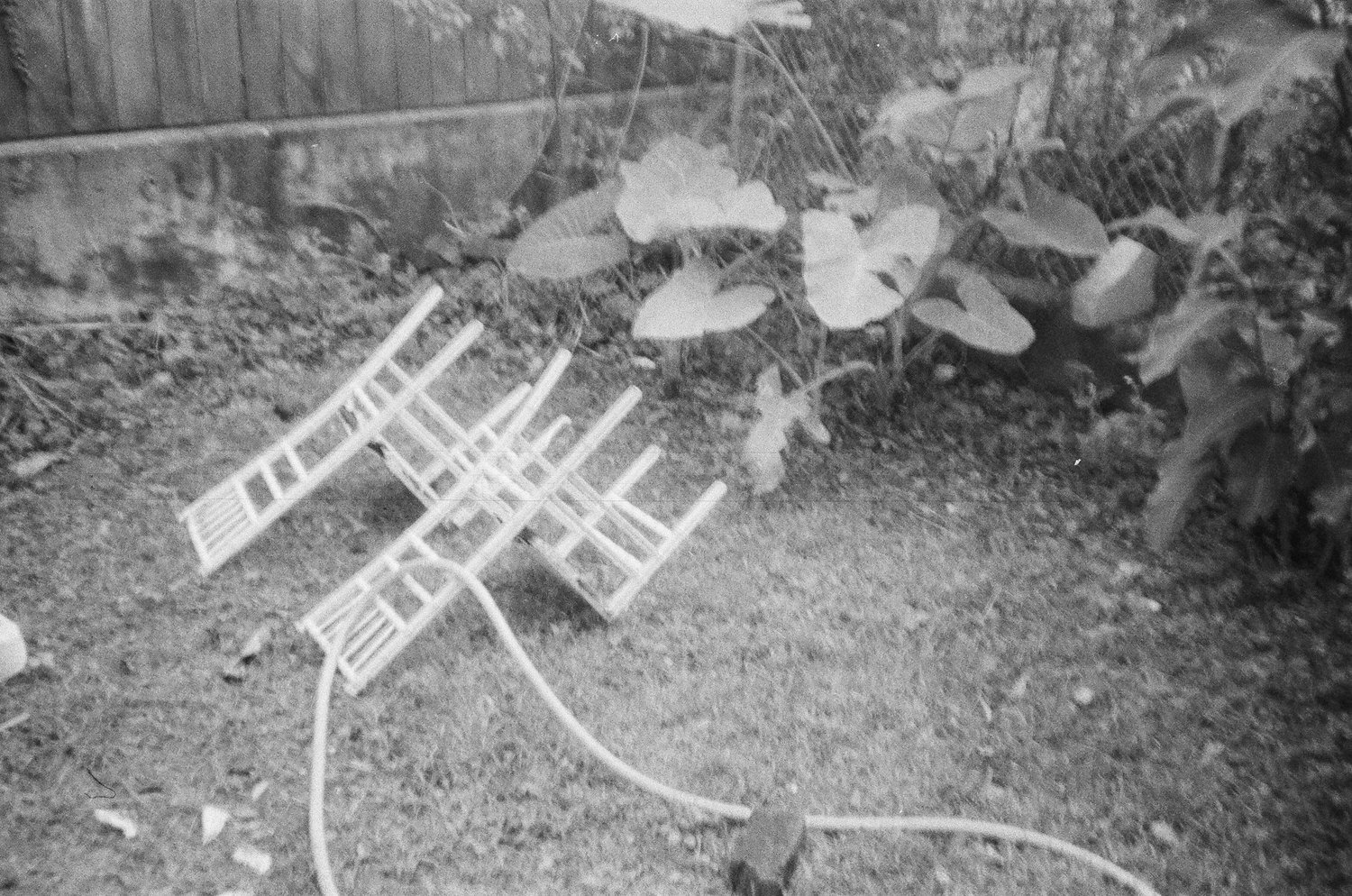 Selected Photos, photograph 31