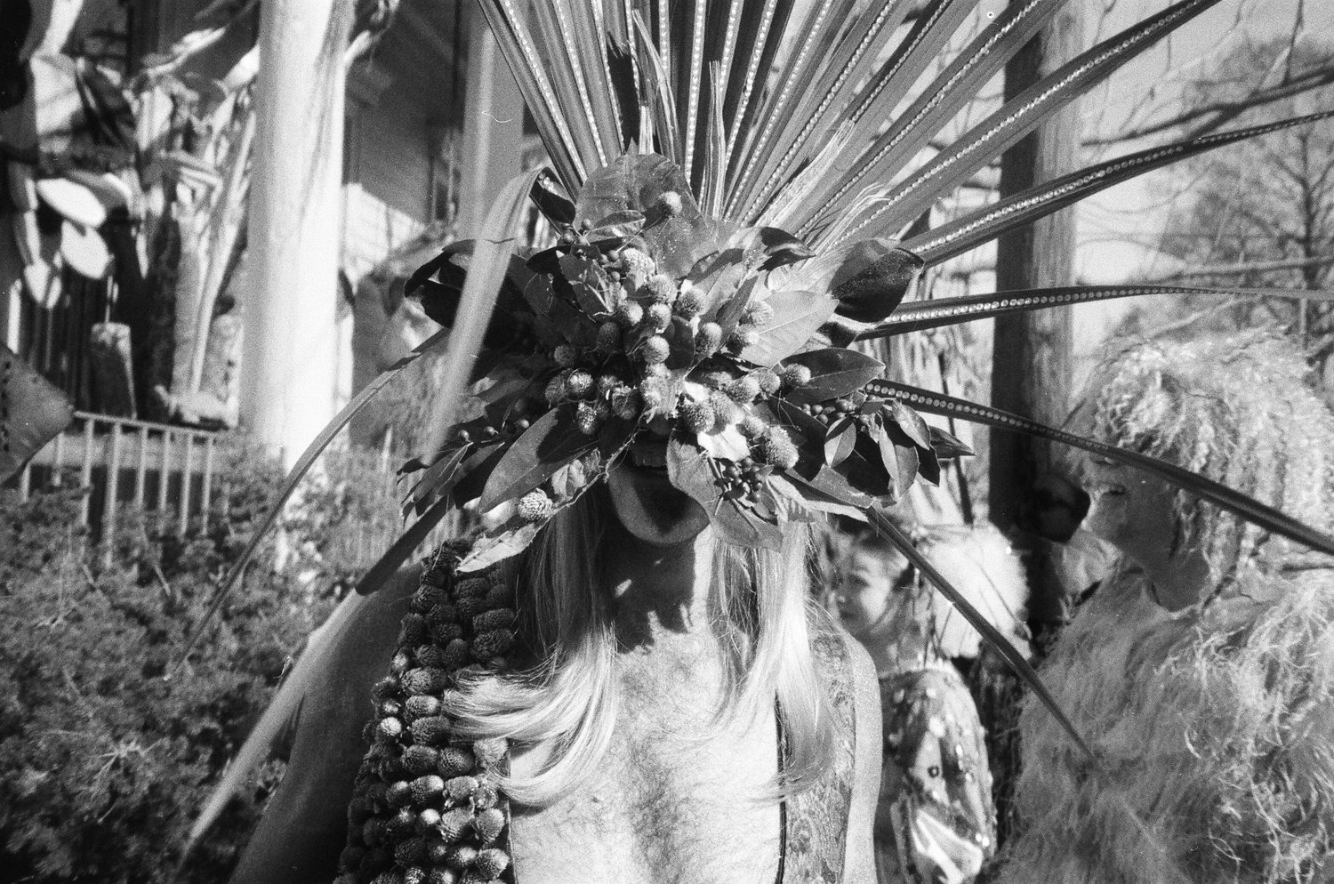 Selected Photos, photograph 33