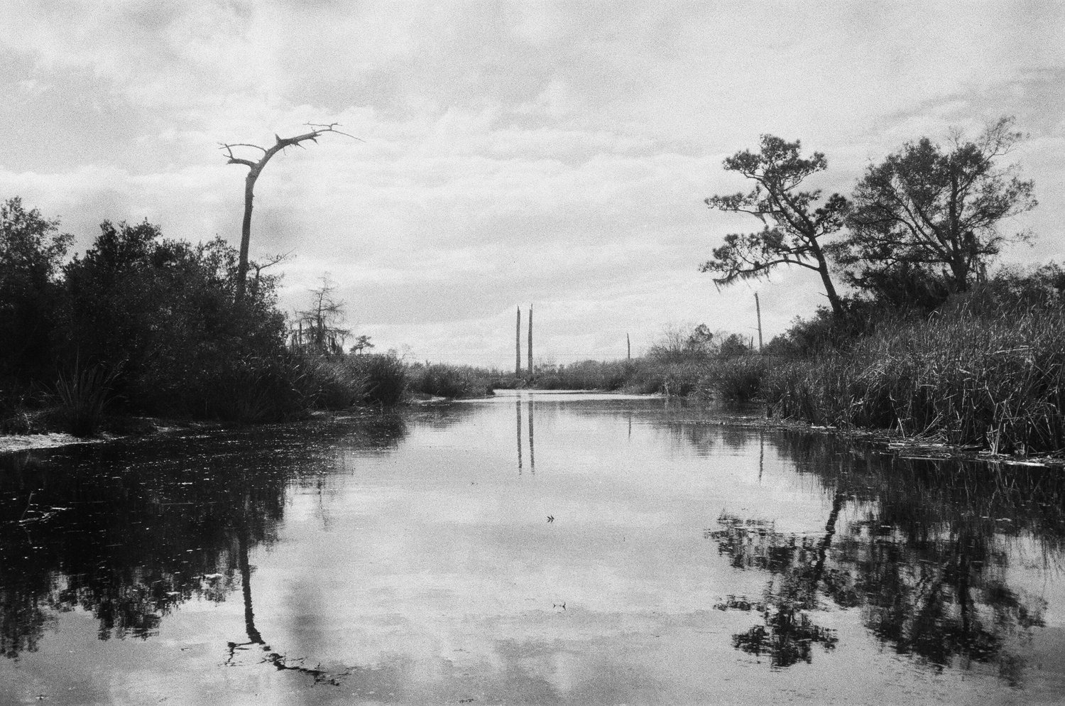 Selected Photos, photograph 35