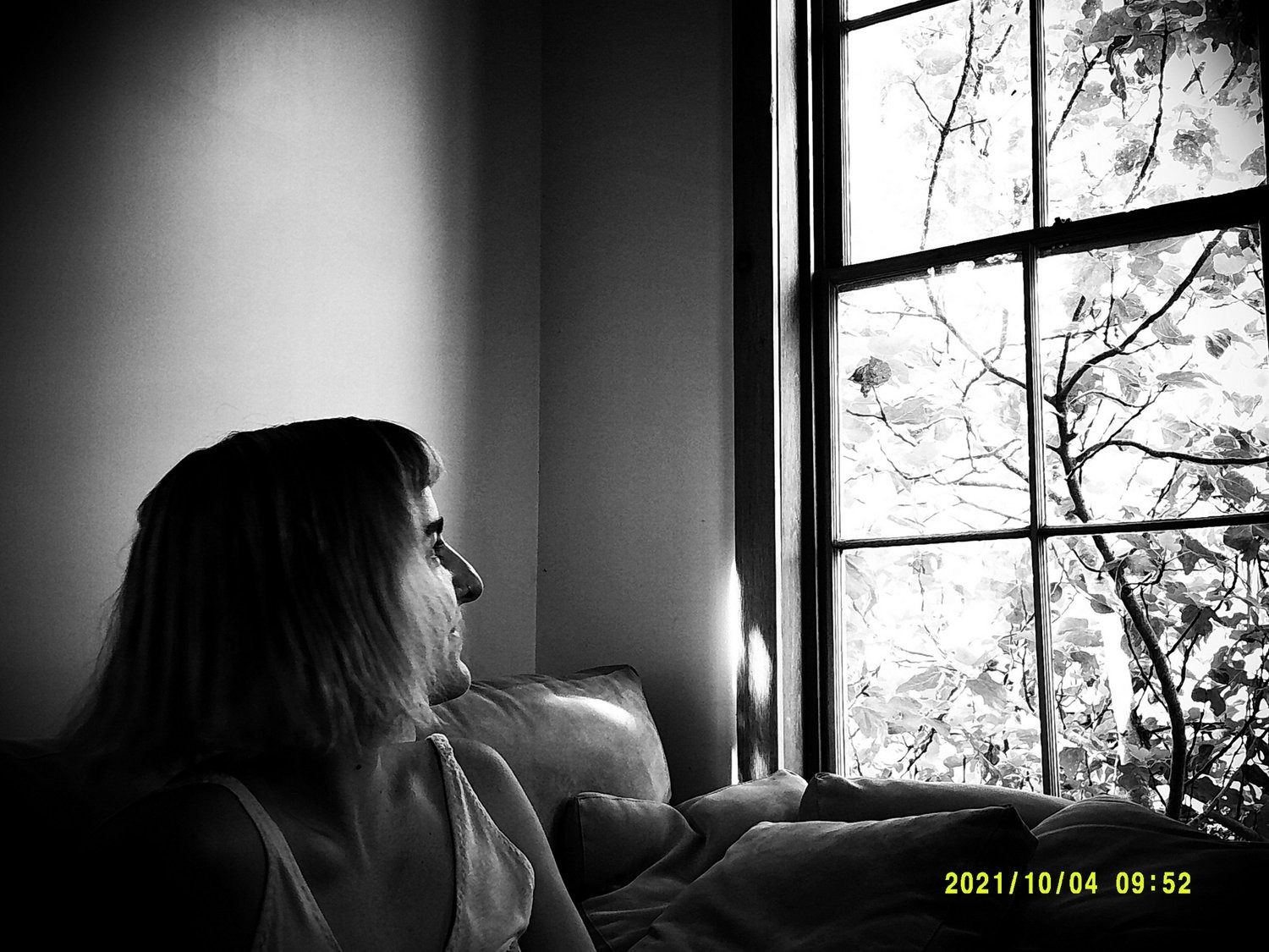 Selected Photos, photograph 54