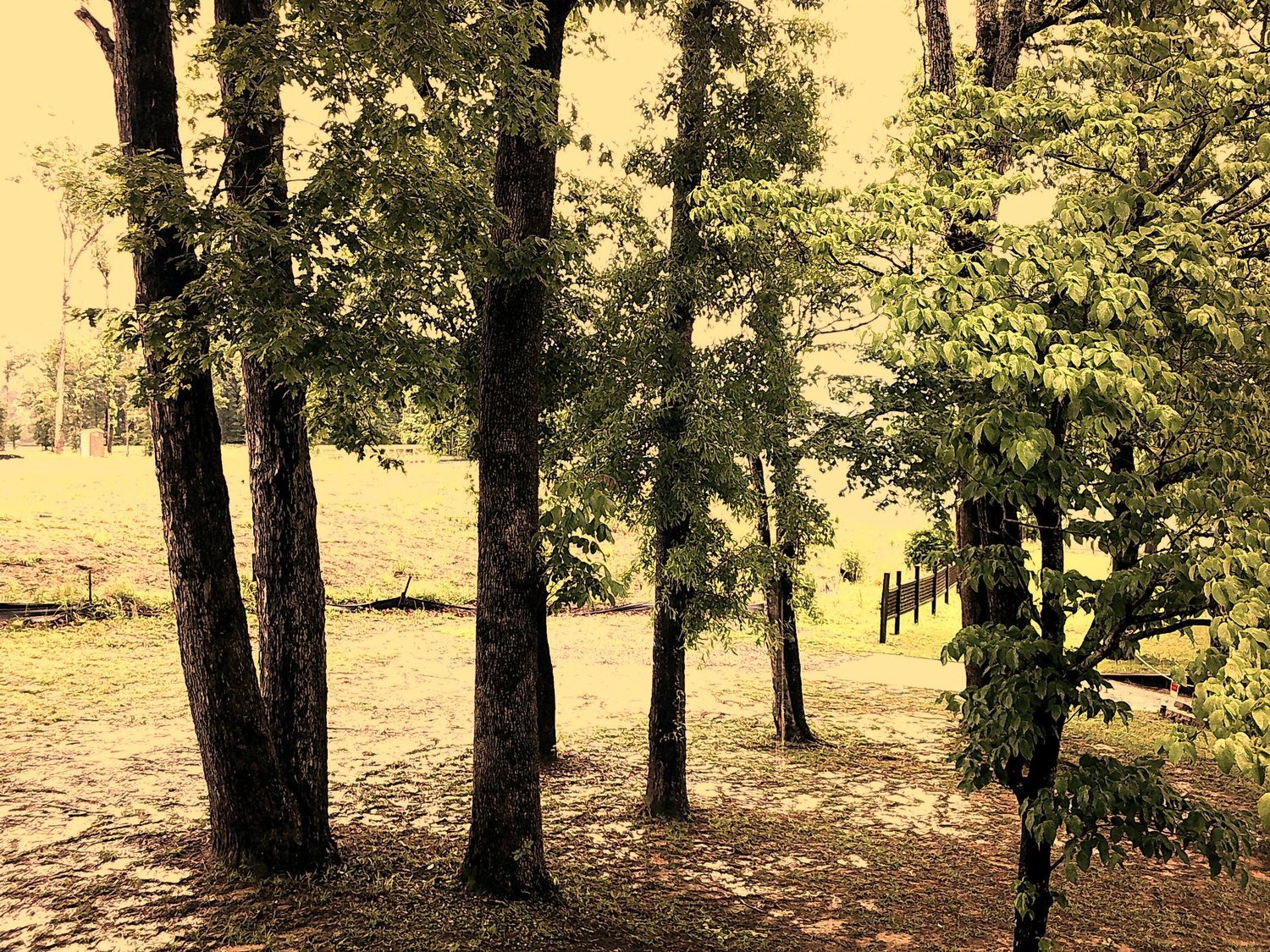 Selected Photos, photograph 74