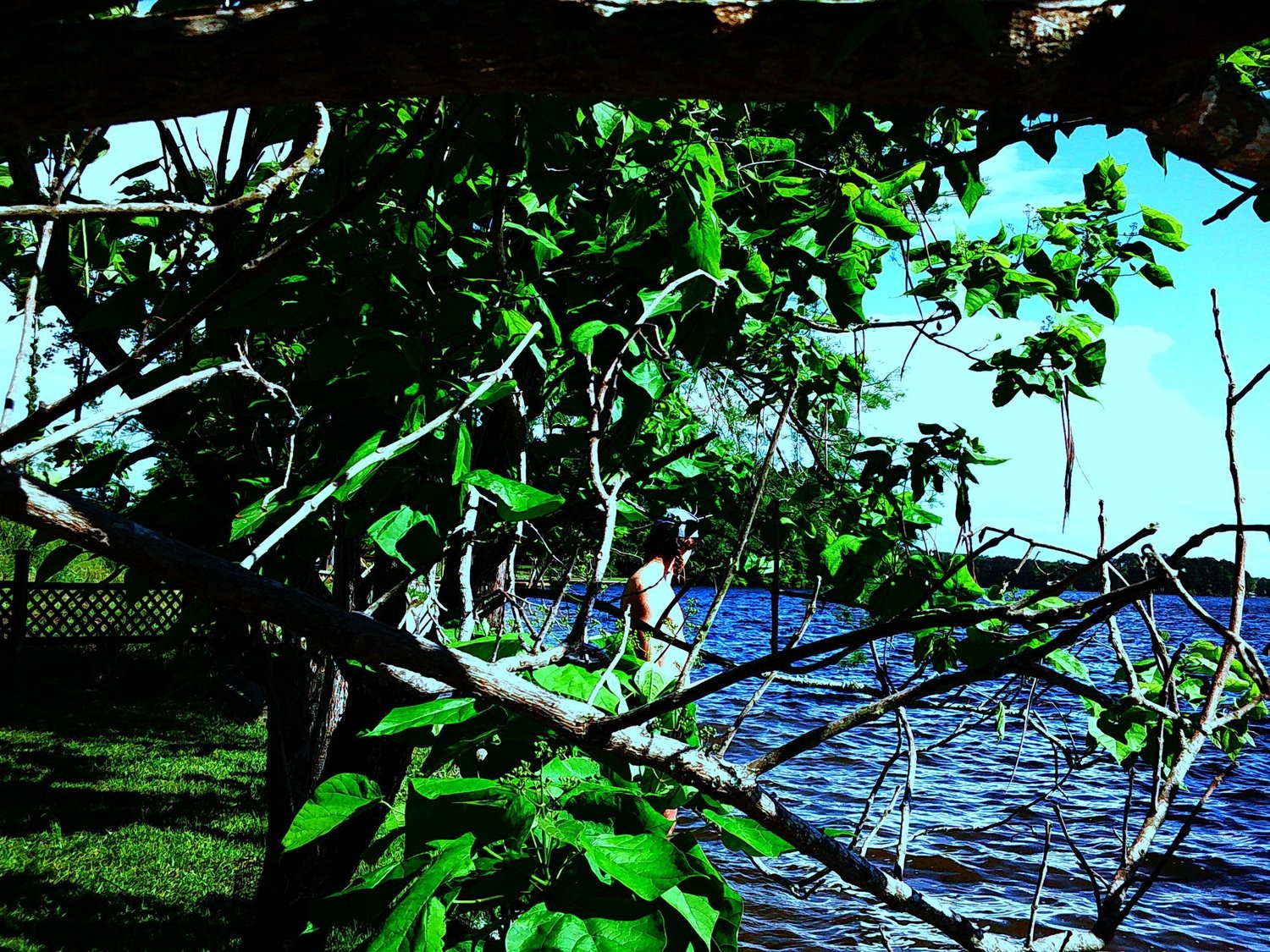 Selected Photos, photograph 76